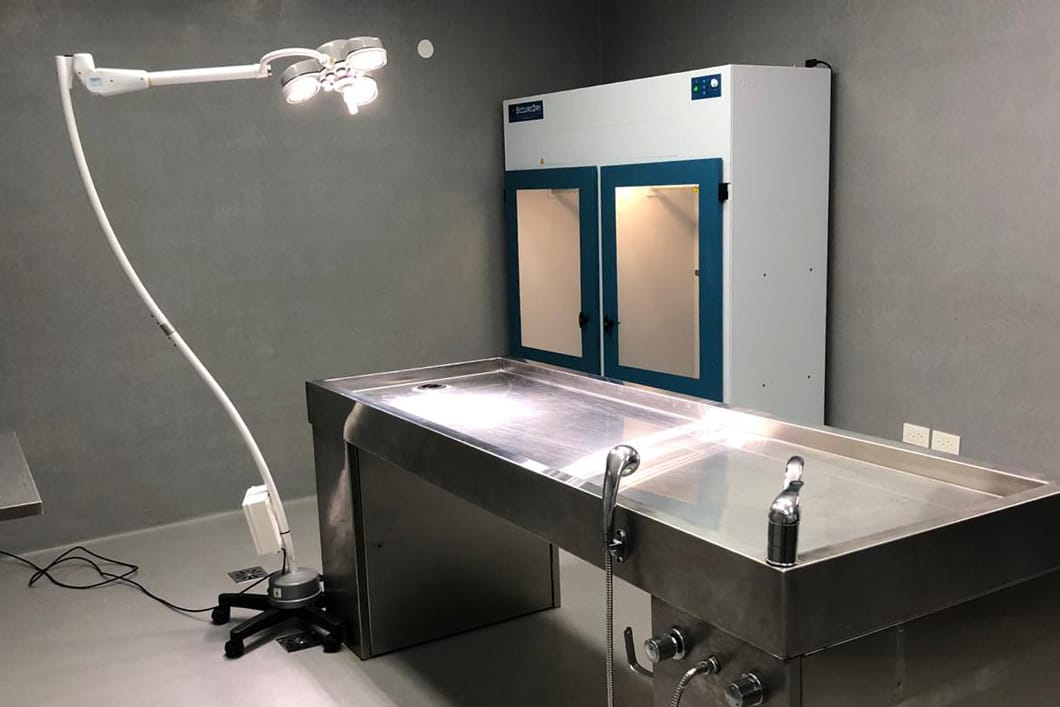 multimedia.normal.84443702918fed0c.576861747341707020496d61676520323031392d30332d31332061742031322e5f6e6f726d616c2e6a706567