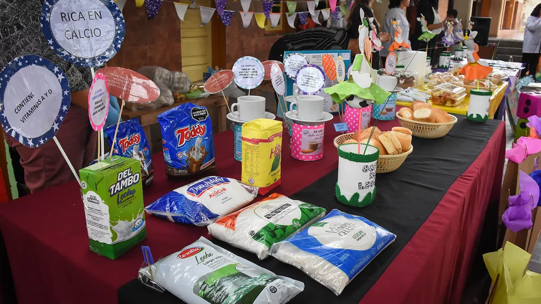 15230-el-programa-copa-de-leche-celebro-un-anio-mas-de-acompaniamiento-y-asistencia-nutricional-a-ninios-de-salta-capital-20241210154023