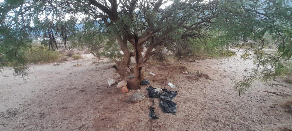 Imagen-de-WhatsApp-2023-12-31-a-las-10.43.06_a1dba258-933x420