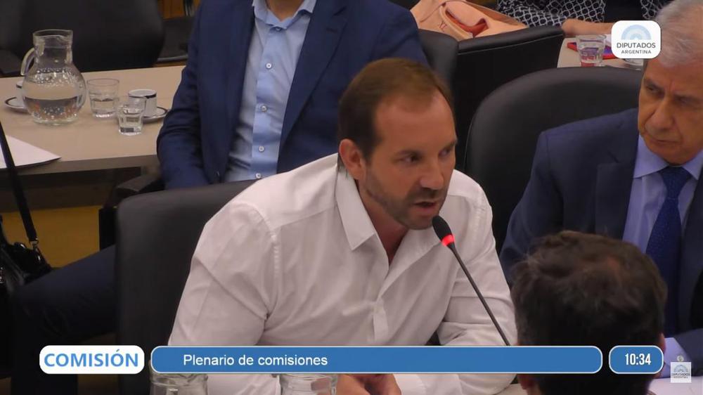 paz posse diputados