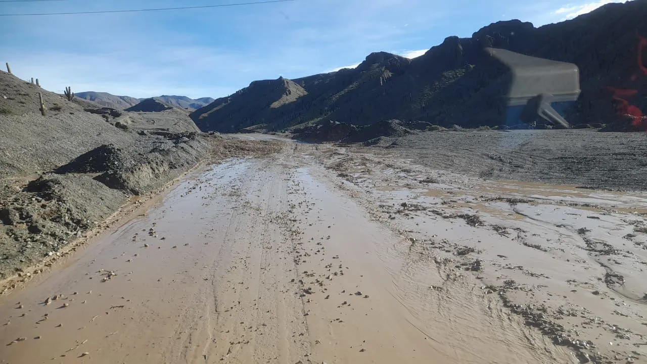 WhatsApp Image 2025-02-27 at 11.11.57