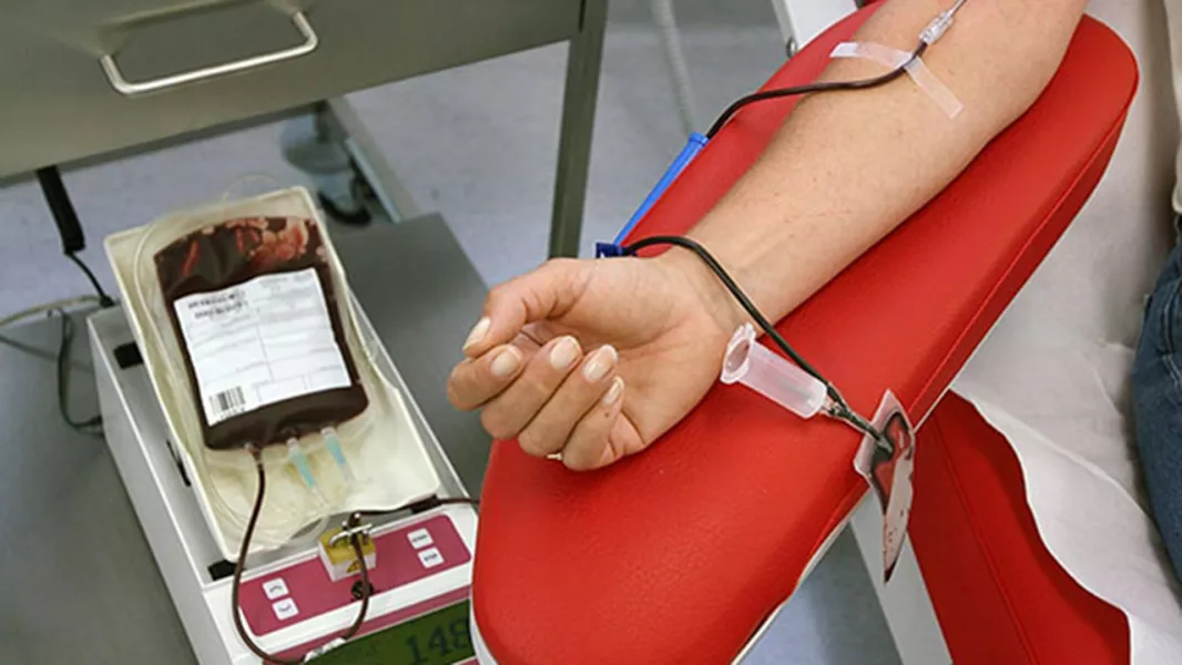 99504-convocan-a-donar-sangre-0-rh-positivo-y-negativo-en-el-centro-regional-de-hemoterapia