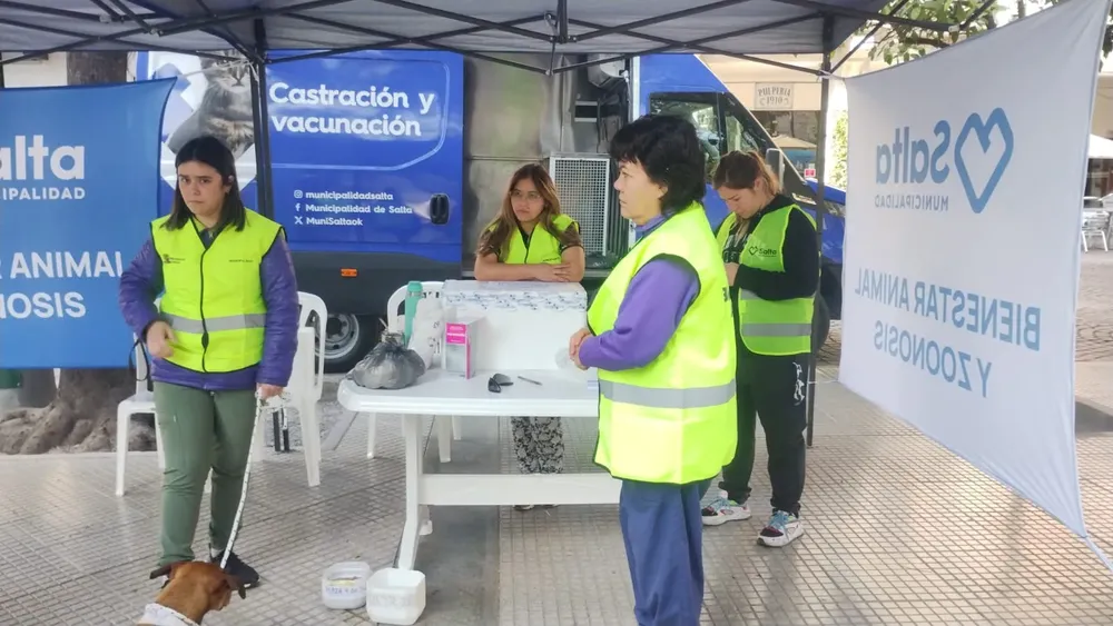 WhatsApp Image 2024-09-13 at 09.28.30