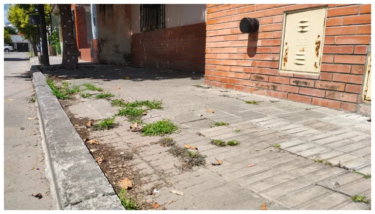 veredas en mal estado