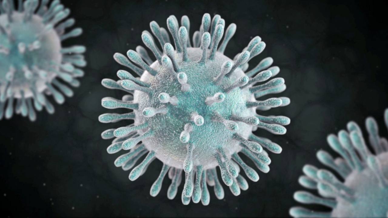 coronavirus_1