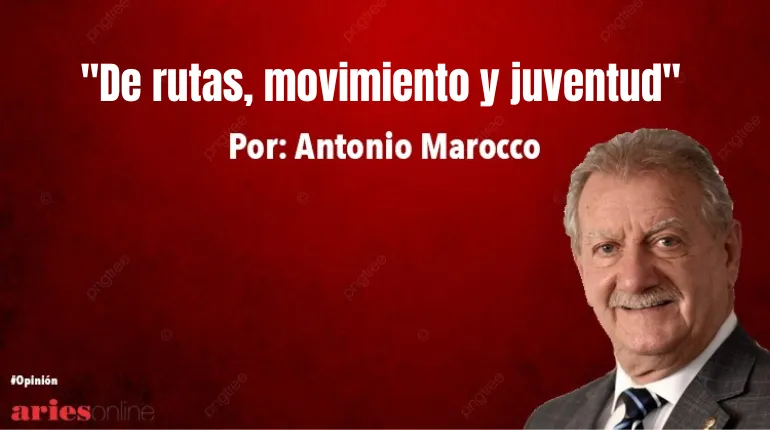 columnas (20)