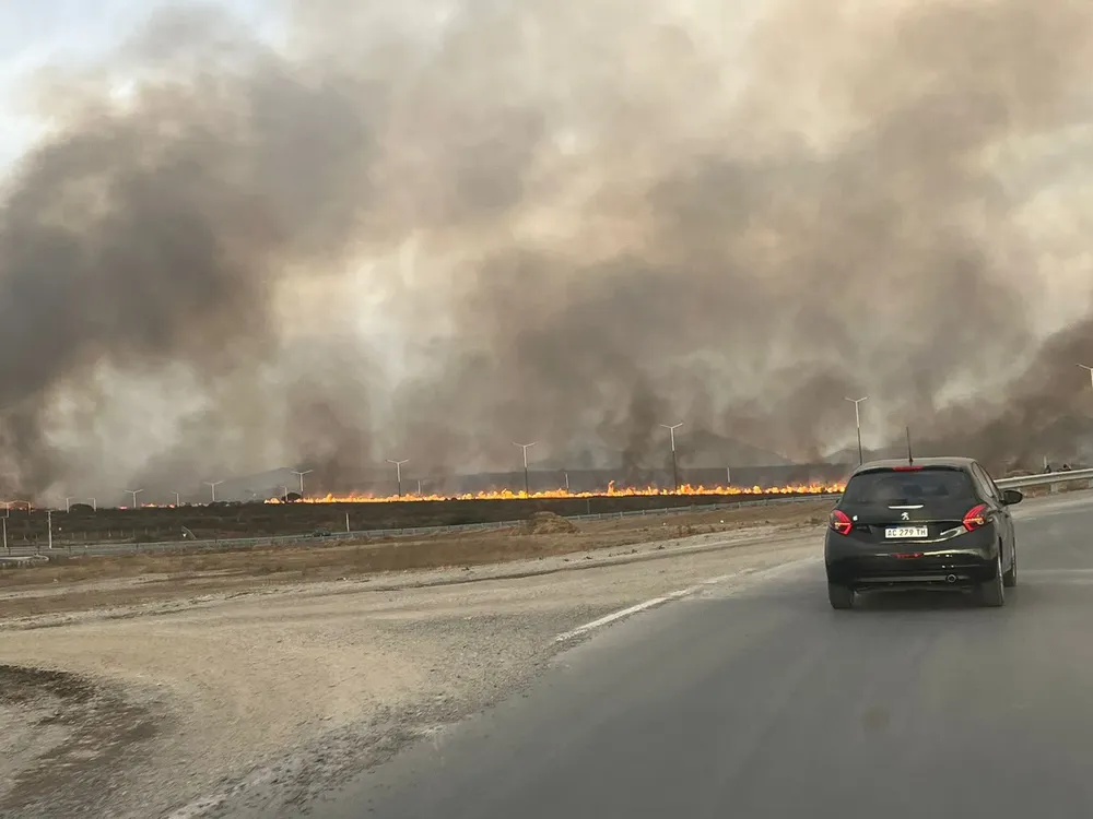 WhatsApp Image 2024-08-06 at 18.19.06