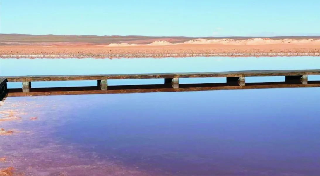 86727-ojos-de-mar-de-tolar-grande-habria-desaparecido-por-una-pasarela