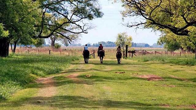 v_211661_54552639 (1)