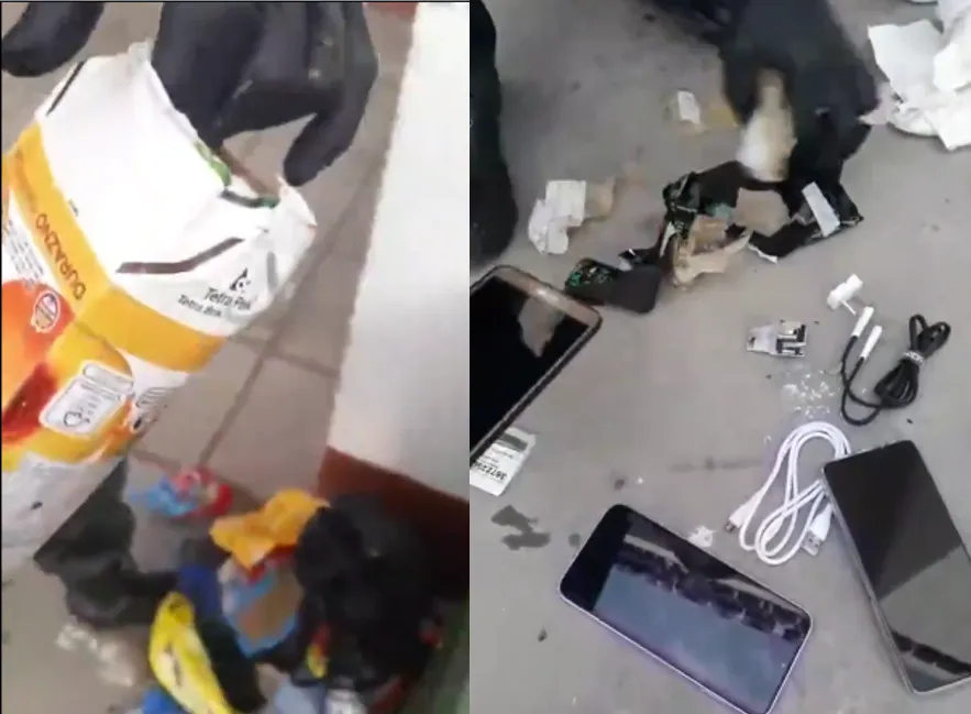 jugo celulares federal