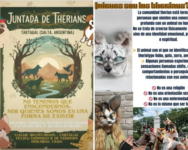 WhatsApp Image 2026-02-09 at 07.59.50 (1)