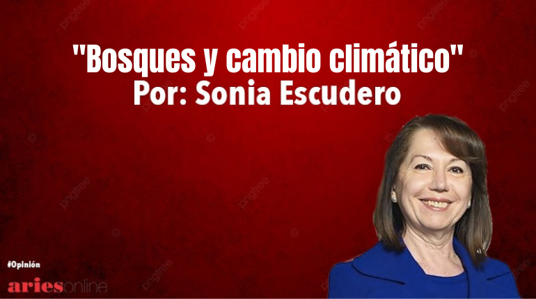 columnas - 2022-09-16T070456.943