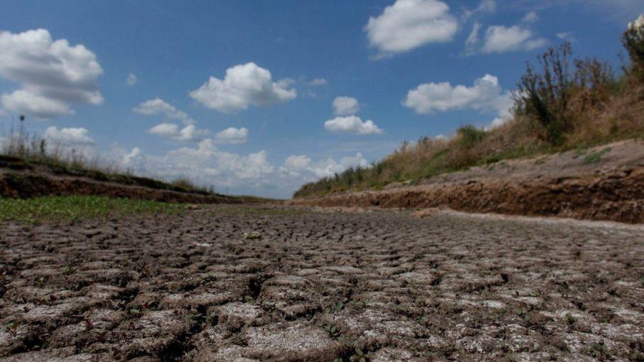emergencia agropecuaria