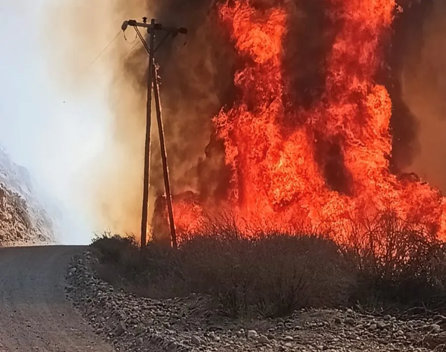 incendio pastizal molinos