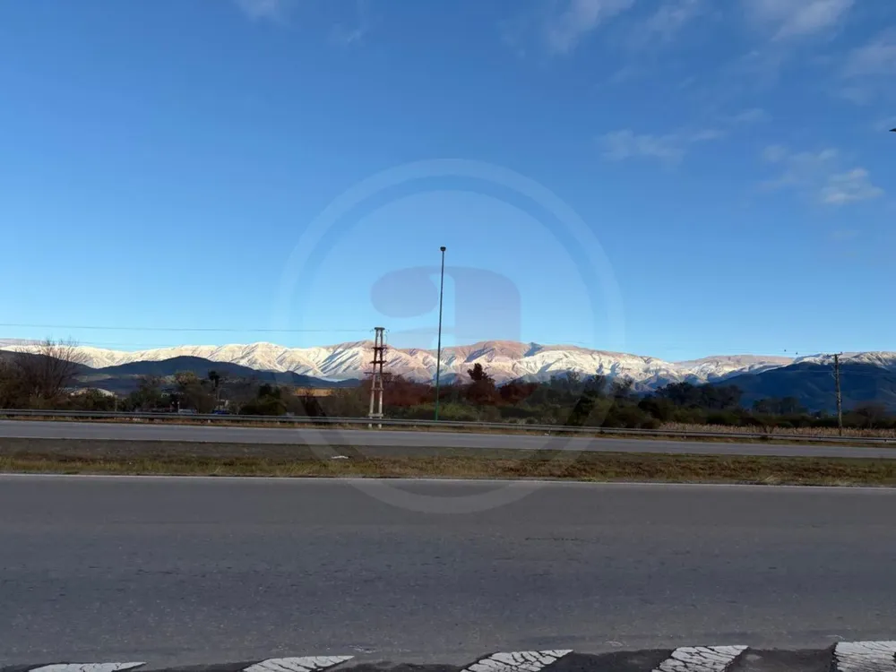 nieve