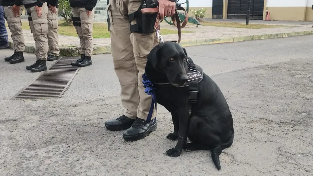 WhatsApp Image 2024-06-26 at 11.00.10 (1)