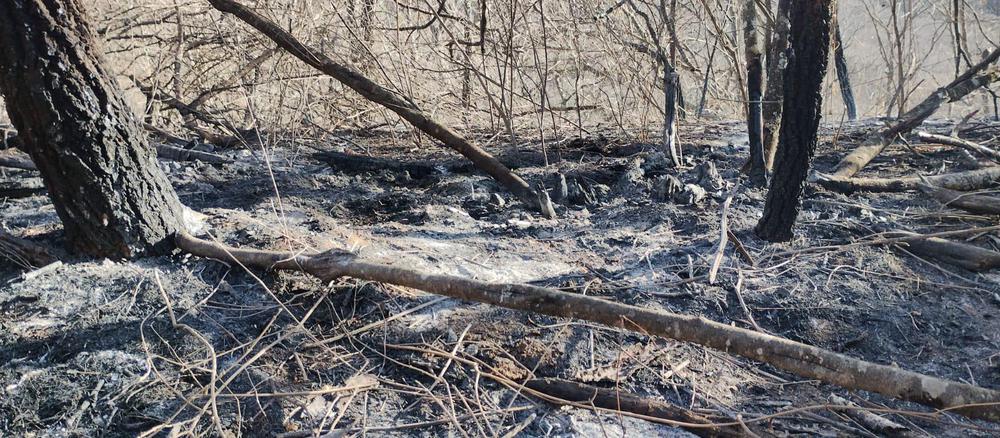 WhatsApp Image 2022-11-02 at 08.19.24