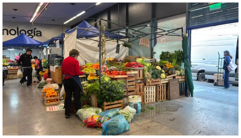 MERCADO SAN MIGUEL (1)