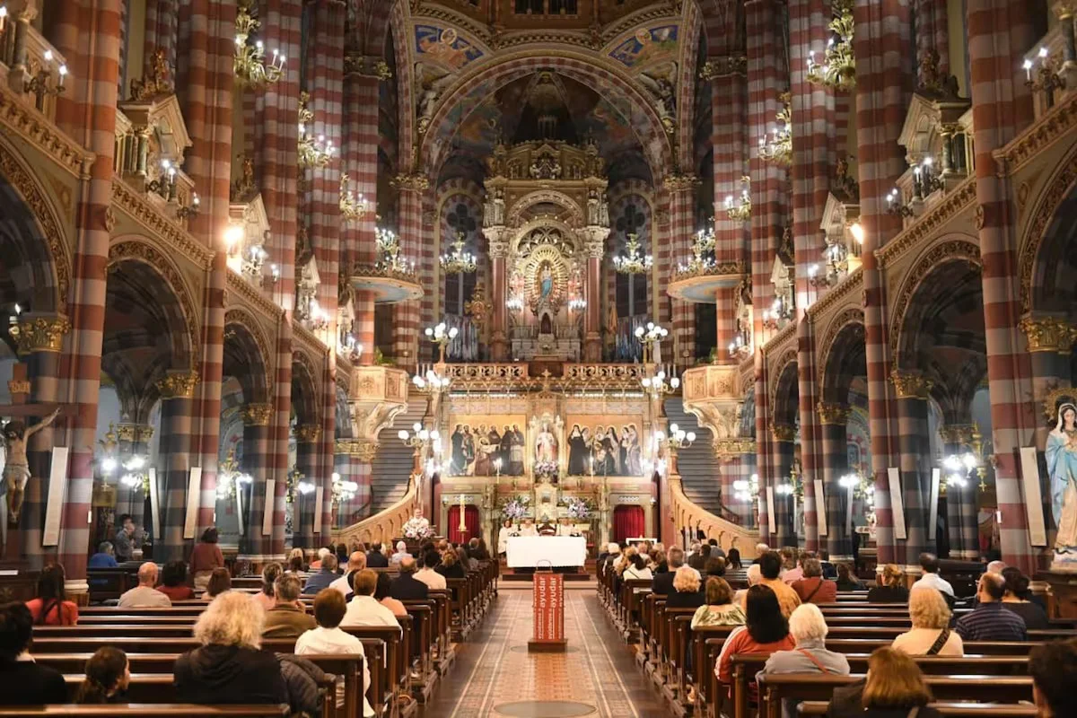 image (73)