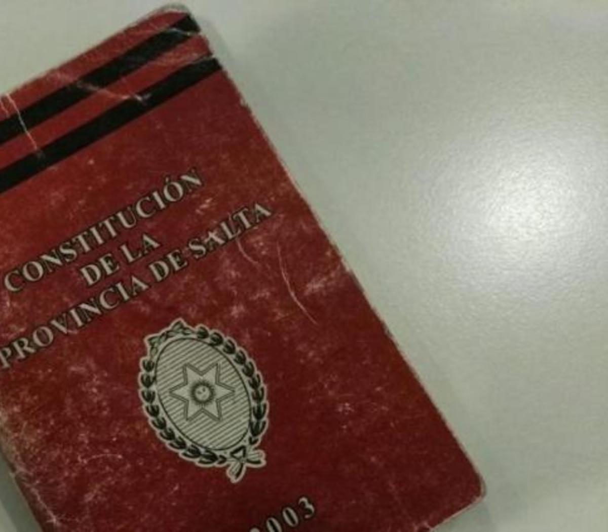 constitución de salta