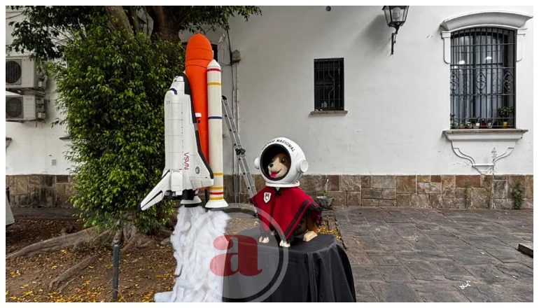 MUESTRA EX NACIONAL (1)