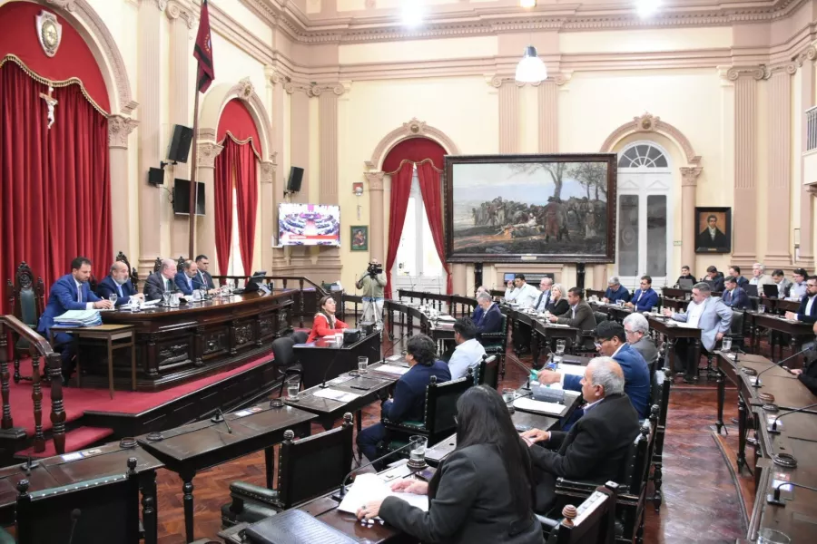 82930-el-senado-aprobo-la-reforma-electoral-en-salta