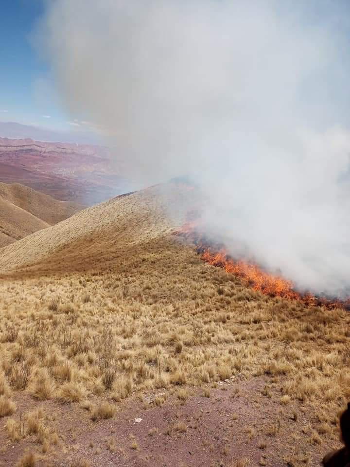 fuego amblayo