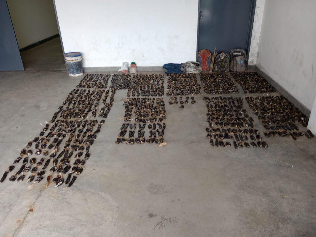 WhatsApp-Image-2022-10-23-at-6.44.01-PM-1-1024x771