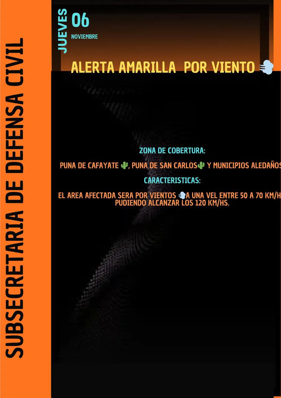 WhatsApp Image 2025-11-06 at 08.31.39