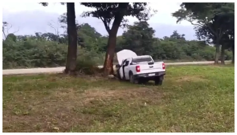 siniestro vial animal suelto rn50