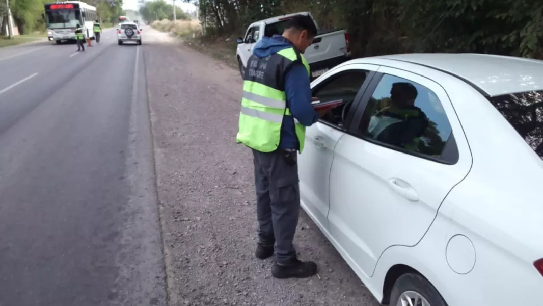14763-la-amt-secuestro-86-vehiculos-en-los-ultimos-30-dias