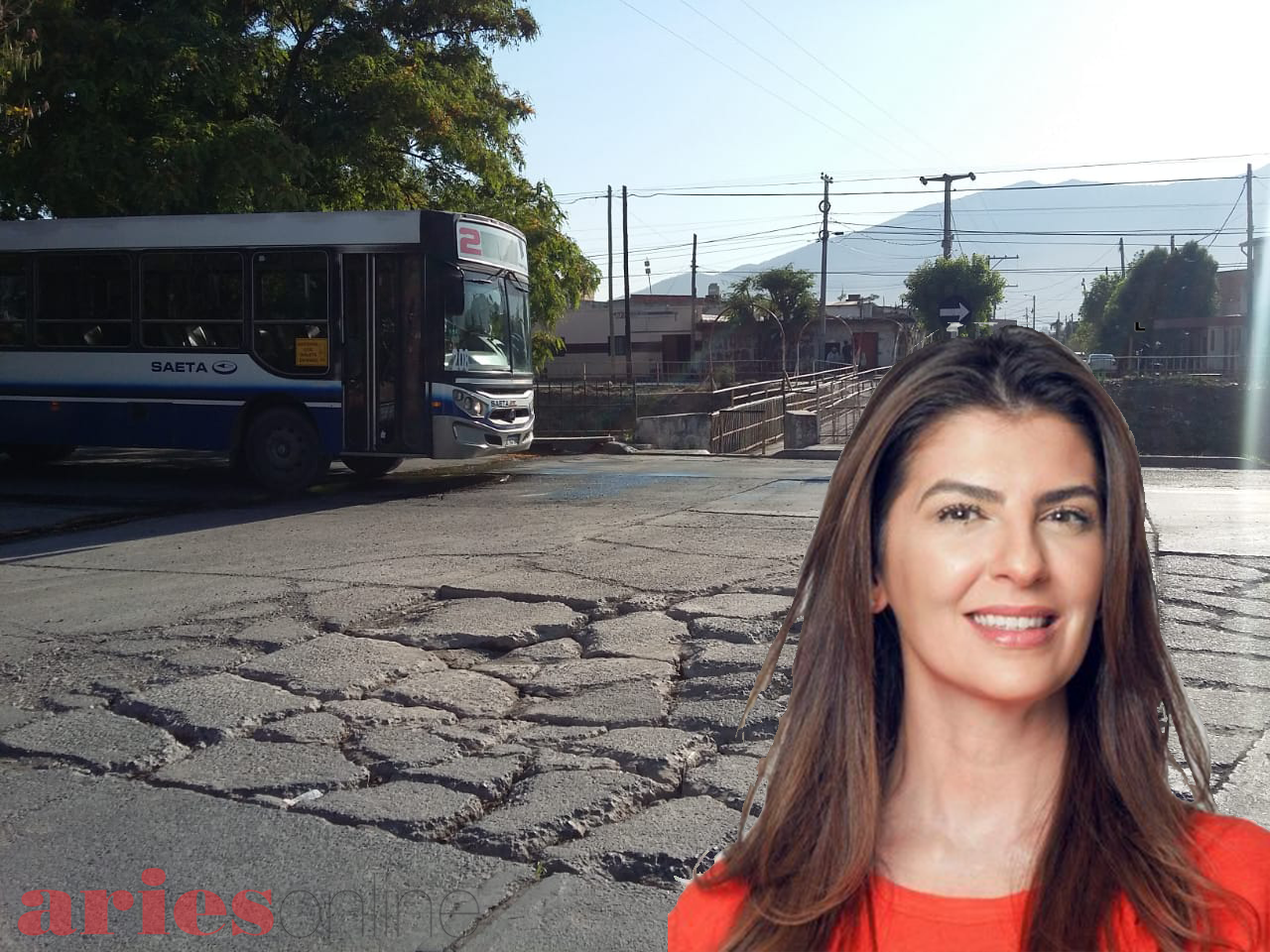 bettina bache