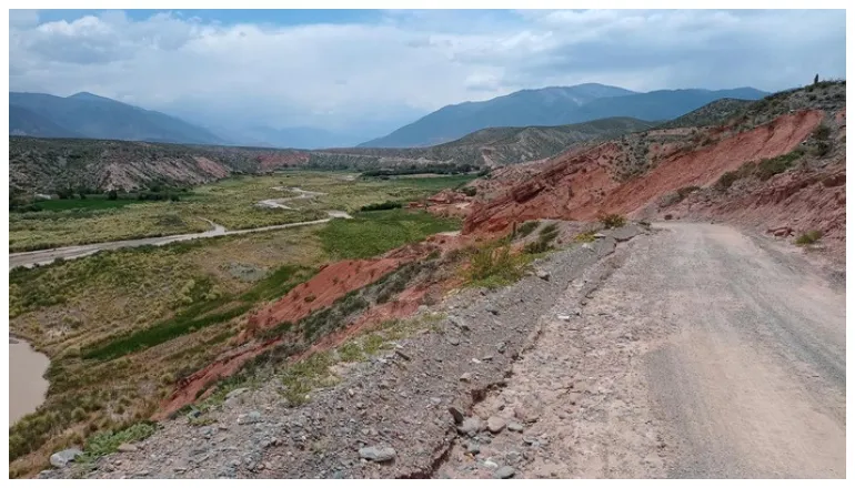 multimedia.normal.a45fcd9bed416c10.cnV0YSA0MCBjYWNoaSBsYSBwb21hX25vcm1hbC53ZWJw