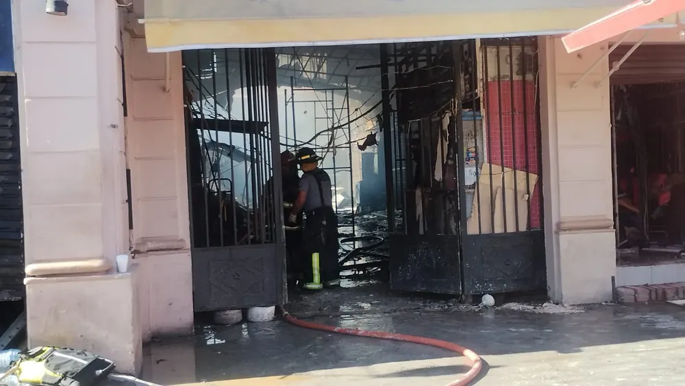 WhatsApp Image 2024-11-06 at 09.14.22