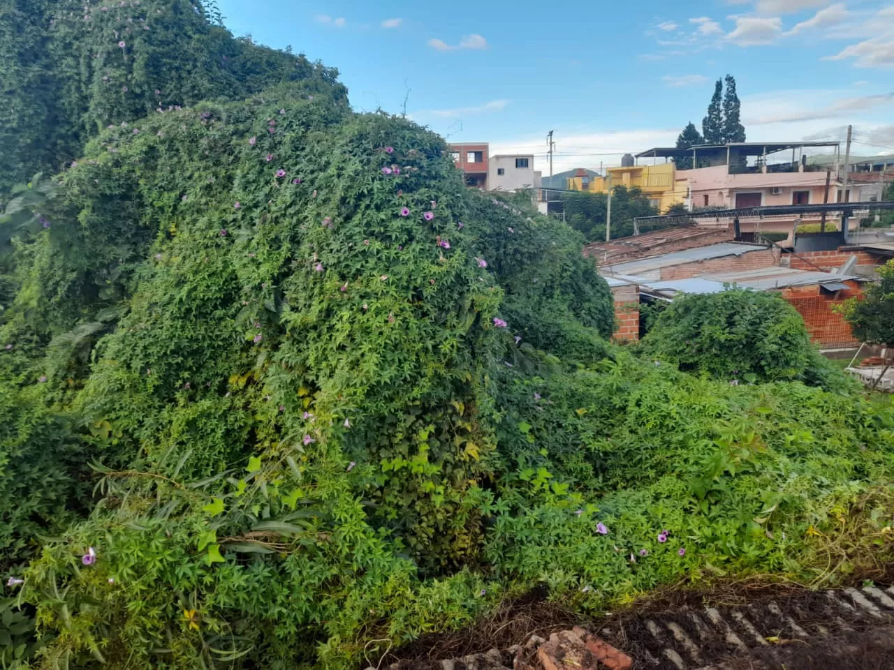 WhatsApp Image 2023-04-10 at 12.34.32 (1)