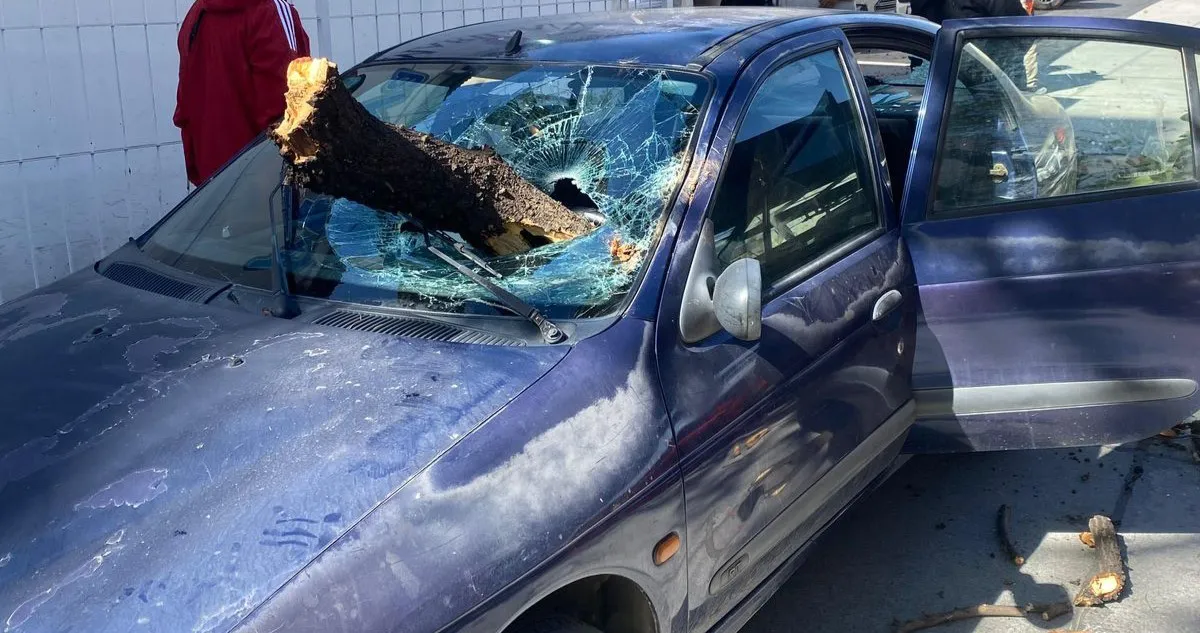 Imagen de WhatsApp 2025-08-04 a las 10.12.15_dcaf4949