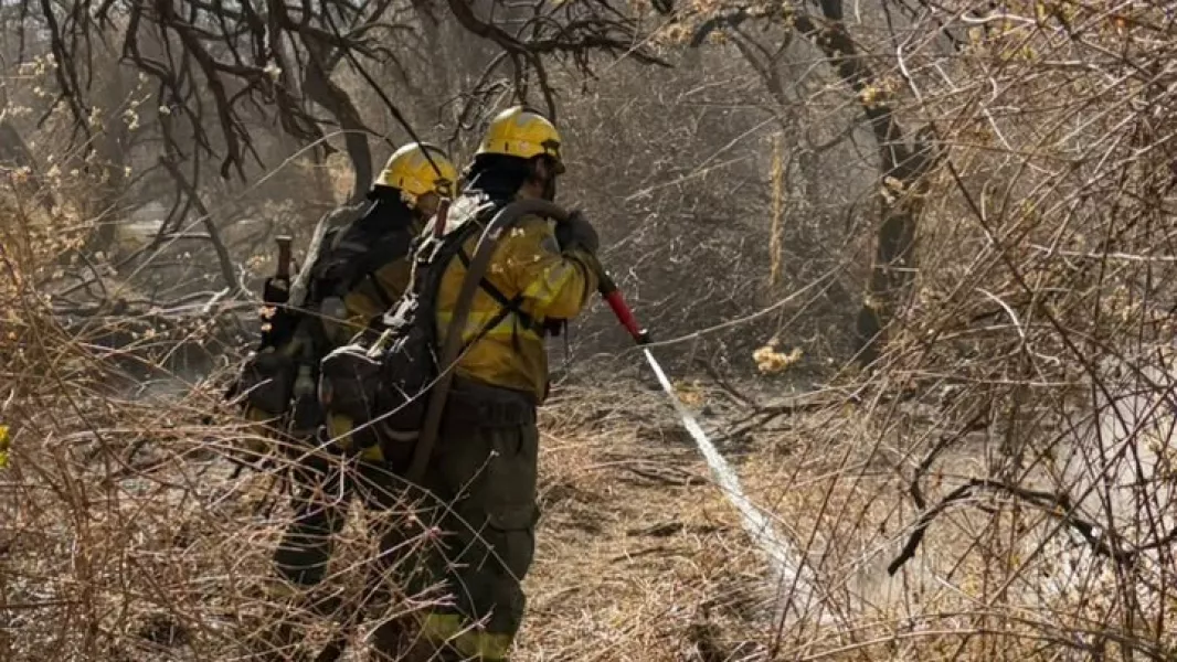21024-intensificaron-los-trabajos-de-lucha-contra-los-incendios-en-cafayate