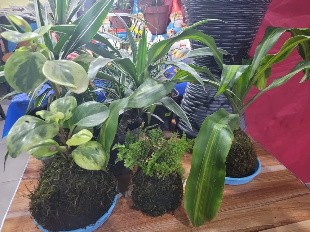 WhatsApp Image 2025-11-04 at 10.18.55