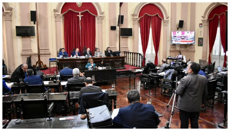 senado salta