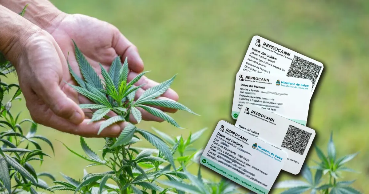 reprocann-cannabis