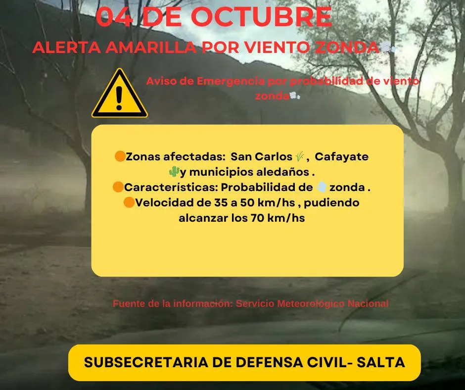 WhatsApp Image 2025-10-04 at 07.27.38