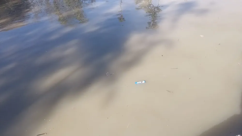 WhatsApp Image 2023-08-21 at 10.31.26 AM