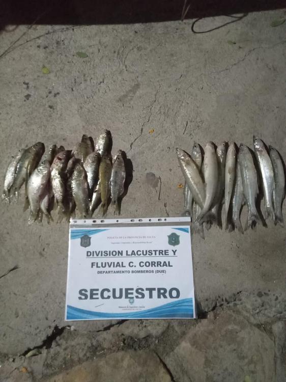 WhatsApp-Image-2024-01-13-at-3.45.57-AM