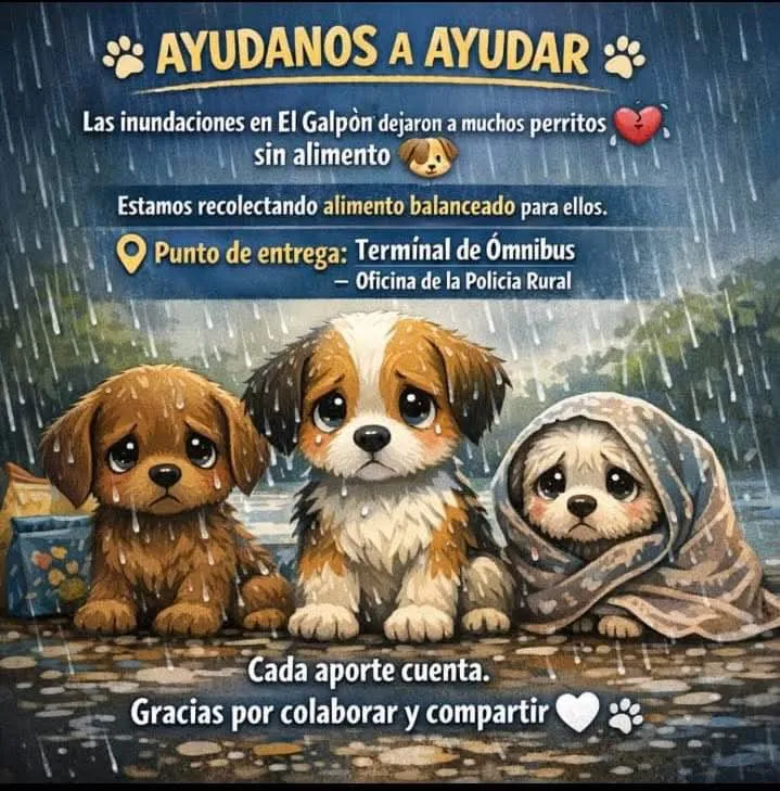 WhatsApp Image 2026-02-10 at 08.52.11