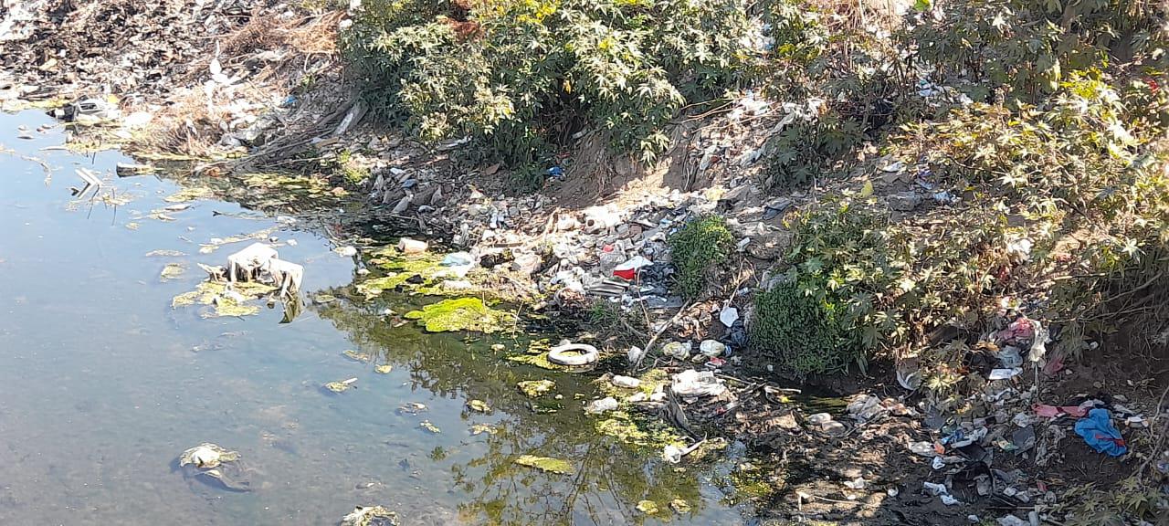 WhatsApp Image 2022-10-13 at 10.45.39