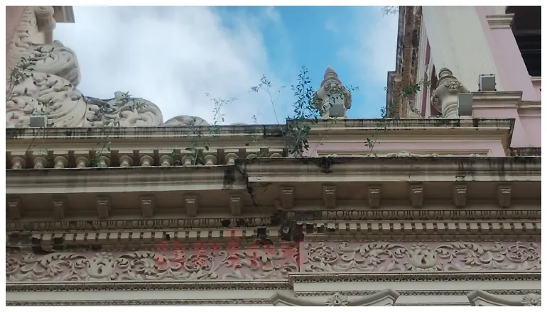 catedral salta 2025 (2)