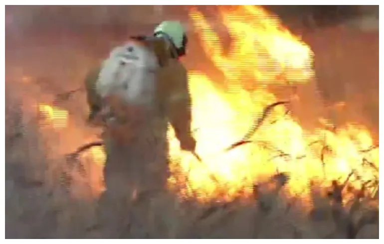 incendio forestal (1)