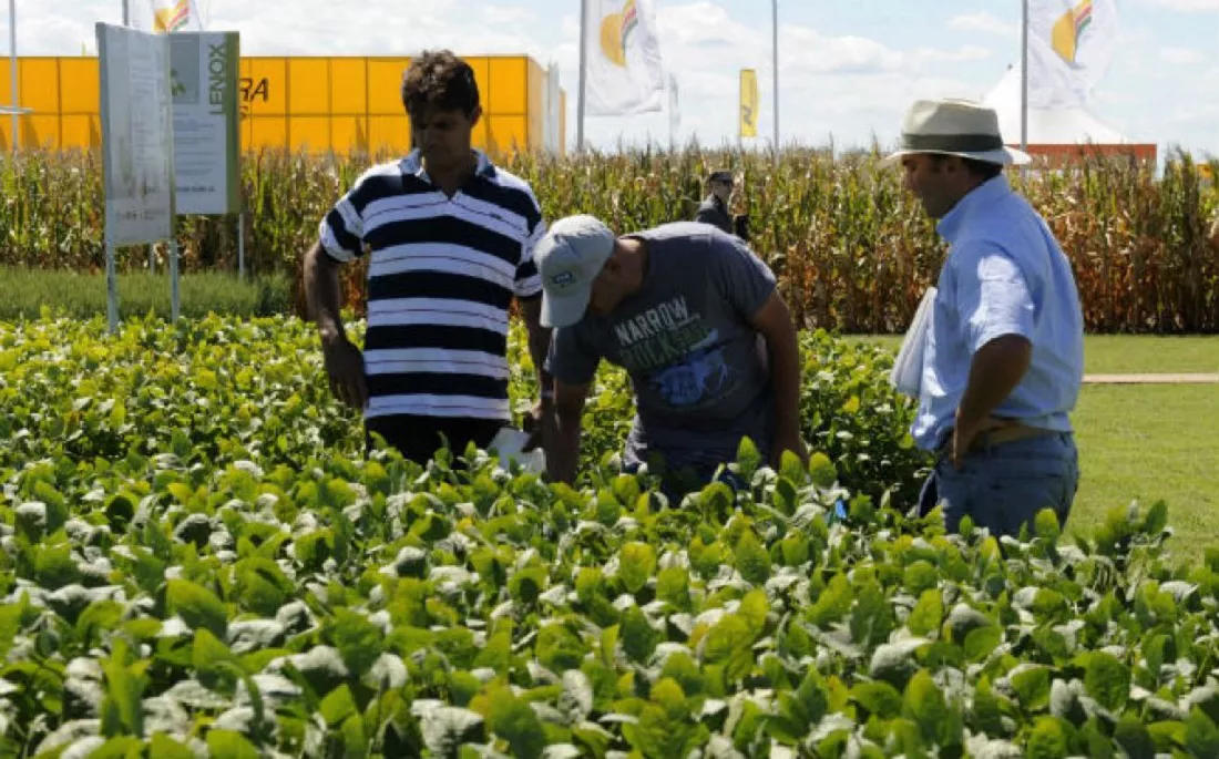 55320-convocan-a-productores-agropecuarios-no-censados-en-2018