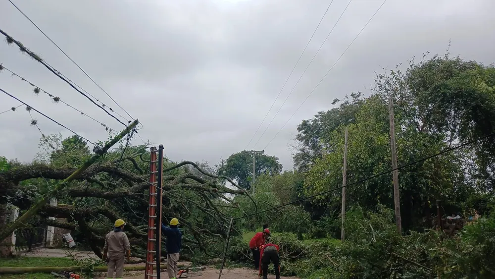 WhatsApp Image 2026-04-11 at 11.49.40