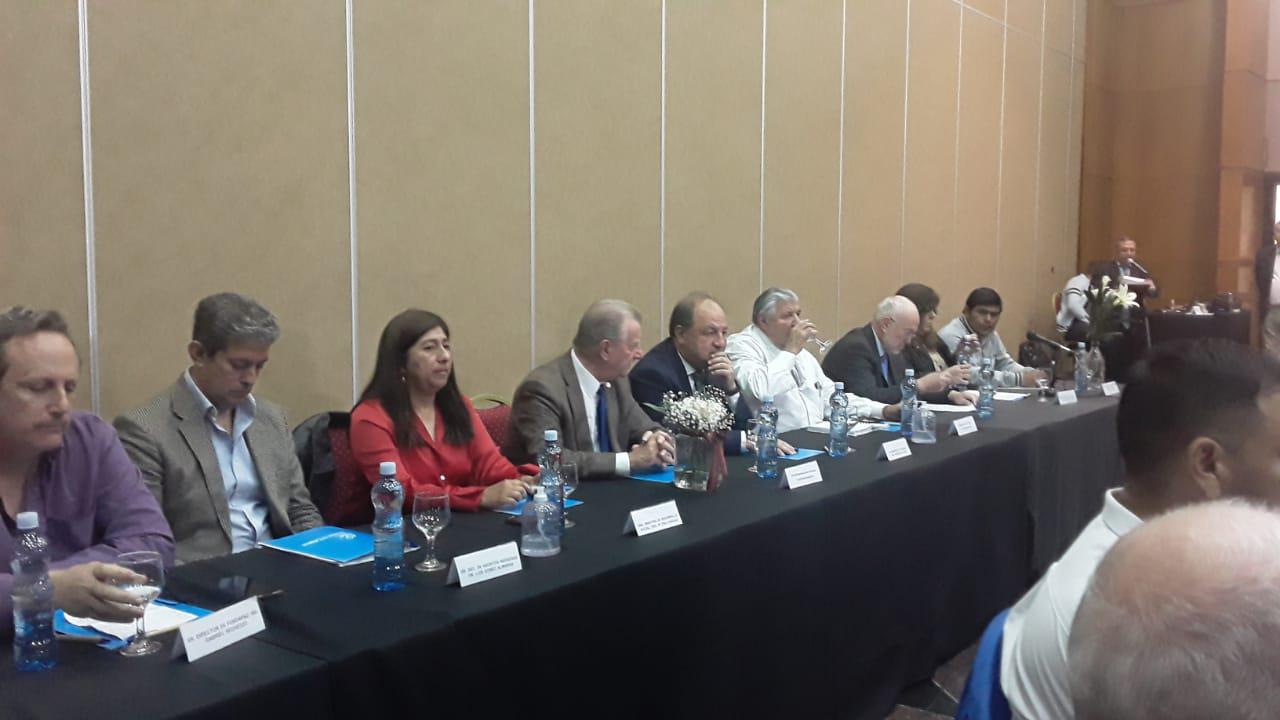 WhatsApp Image 2022-07-28 at 9.22.37 AM